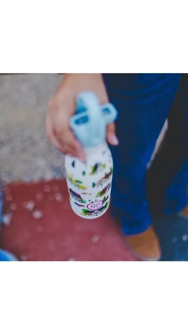Cool Bottles - Nerūdijančio plieno vaikiškas buteliukas su šiaudeliu arba užsukimu, 350ml (Tudor village)