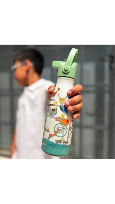 Cool Bottles - Nerūdijančio plieno vaikiškas buteliukas su šiaudeliu arba užsukimu, 260ml (Hen house) Cool Bottles - Nerūdijančio plieno vaikiškas buteliukas su šiaudeliu arba užsukimu, 260ml (Hen house)
