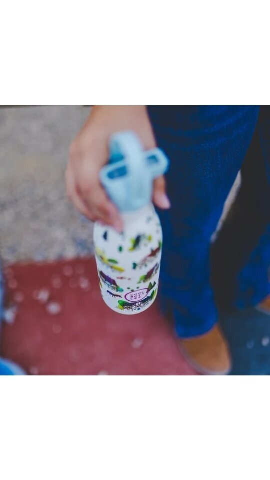 Cool Bottles - Nerūdijančio plieno vaikiškas buteliukas su šiaudeliu arba užsukimu, 350ml (Tudor village) Cool Bottles - Nerūdijančio plieno vaikiškas buteliukas su šiaudeliu arba užsukimu, 350ml (Tudor village)