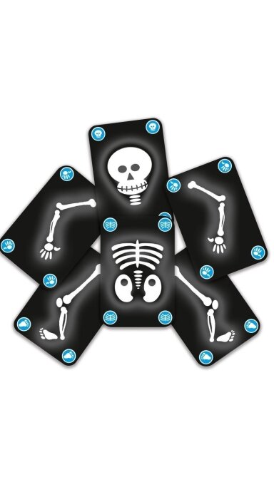 DJECO Kortų žaidimas - Skeletukas